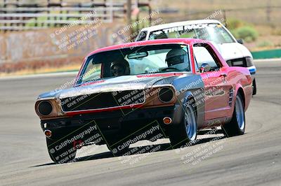 media/May-11-2025-Cobra Club (Sun) [[44ca44ec33]]/Passenger/